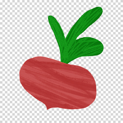 편집 편집이미지 식재료 누끼 사람없음 PNG 비트 편집소스 채소 파일형식