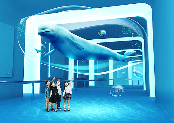 전신 PSD 편집이미지 여자 남자 어린이 실내 서기 소녀 소년 여러명 공중 파란색 울타리 수중동물 공간 한국인 물방울 가리킴 체험 터널 버블 가오리 어린이만 벨루가 이미지편집 동물 길 컬러 다수 컨셉 모션 어류 사람 동양인 손짓 내부 담장 고래 파일형식