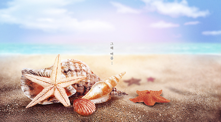 PSD 구름 모래 바다 일러스트 조개 불가사리 해변 사람없음 여름 파란색 모래사장 여름풍경 조개껍데기 소라 시원함 감성 베이지색 여름배경 국내일러스트 자연요소 계절 컬러 백그라운드 컨셉 어패류 극피동물 풍경 파일형식 여름_계절