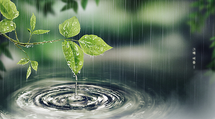 PSD 잎 일러스트 자연 사람없음 초록색 여름 평화 여름풍경 회색 젖음 물방울 비 숲 시원함 빗방울 장마 감성 여름배경 국내일러스트 자연요소 식물 계절 컬러 백그라운드 컨셉 날씨 풍경 비_날씨 생태계 파일형식 여름_계절