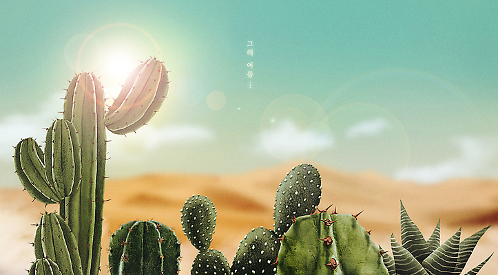 PSD 구름 모래 일러스트 선인장 사람없음 초록색 여름 햇빛 태양 갈색 여름풍경 사막 더위 감성 여름배경 국내일러스트 자연요소 식물 계절 컬러 백그라운드 컨셉 날씨 풍경 파일형식 여름_계절
