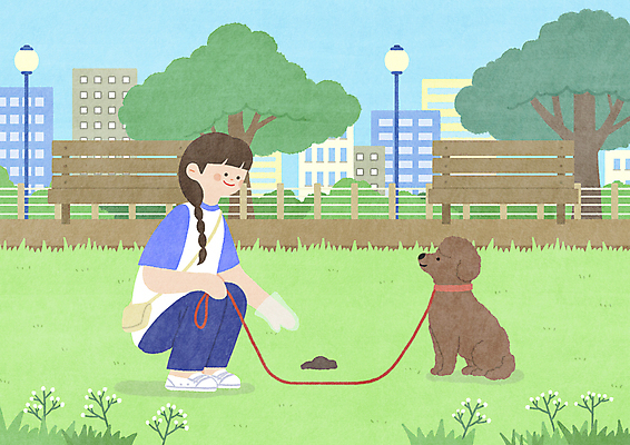 PSD 나무 공원 여자 반려견 의자 일러스트 하늘 숙이기 한명 웃음 빌딩 초원 성인 산책 잡기 목줄 웅크림 배변 배변봉투 비닐장갑 치우기 성인여자한명만 국내일러스트 식물 1 공공시설 포즈 가구 장갑 모션 휴식 봉투 표정 사람 건물 반려동물 개 여자한명만 성인여자만 파일형식 반려용품