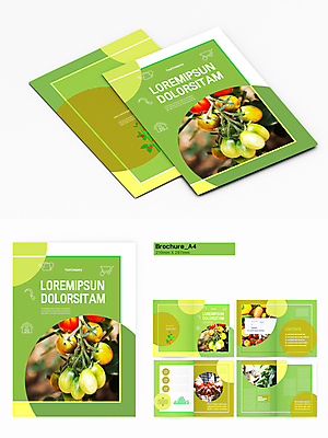 템플릿 손 남자 리플렛 40대 중년 농업 방울토마토 한명 들기 팜플렛 상반신 신체부위 연두색 농사 한국인 수확 잡기 원형 손모으기 중년남자한명만 인디자인 INDD 어그테크 이미지템플릿 도형 1 산업 토마토 모션 사람 동양인 손짓 성인 초록색 남자한명만 중년남자만 파일형식