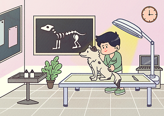 전신 PSD 한마리 남자 화분 반려견 시계 분홍색 일러스트 조명 엑스레이 한명 서기 성인 반려동물 강아지 동물병원 수의사 진료대 진료실 성인남자한명만 국내일러스트 동물 1 컬러 의학 모션 병원 사람 진료 의사 개 남자한명만 성인남자만 파일형식