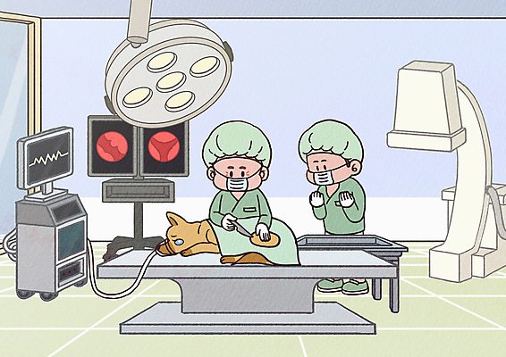 전신 PSD 한마리 남자 하늘색 일러스트 조명 마스크 서기 상반신 성인 두명 반려동물 모니터 수술 강아지 눈물 수술실 동물병원 수의사 메스 바이탈사인 수술대 성인남자만 국내일러스트 동물 1 감정 의학 모션 병원 사람 치료 파란색 컴퓨터 의사 개 수술도구 남자만 성인만 파일형식