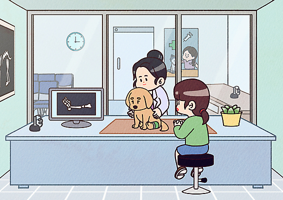 전신 PSD 한마리 여자 포스터 반려견 하늘색 두마리 의자 일러스트 창문 엑스레이 앉기 상반신 성인 치료 세명 반려동물 모니터 강아지 동물병원 수의사 깁스 골절 진료대 성인여자만 국내일러스트 동물 1 가구 2 의학 모션 병원 사람 파란색 컴퓨터 진료 의사 의료용품 개 여자만 성인만 파일형식