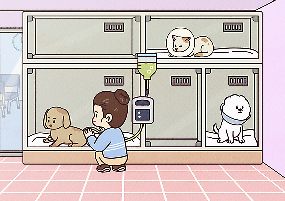 전신 PSD 여자 반려견 분홍색 일러스트 세마리 한명 성인 반려동물 고양이 강아지 링거 보호자 웅크림 동물병원 입원 입원실 성인여자한명만 반려묘 국내일러스트 동물 1 컬러 포유류 의료기기 모션 병원 3 사람 개 여자한명만 성인여자만 파일형식