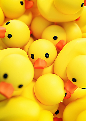 PSD 편집 편집이미지 사람없음 노란색 3D소스 3D 가득함 디지털합성 오리인형 오리장난감 편집소스 편집3D 인형 컬러 장난감 파일형식