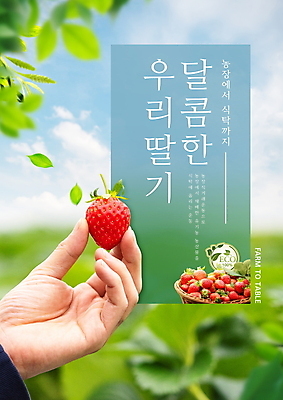 PSD 구름 편집이미지 손 하늘 딸기 나뭇잎 들기 타이포그라피 신체부위 초록색 농작물 바구니 신선 잡기 달콤 유기농 직거래 산지직송 이미지편집 자연요소 문자 웰빙 컬러 잎 농업 과일 모션 사람 거래 맛 배송 파일형식 직송