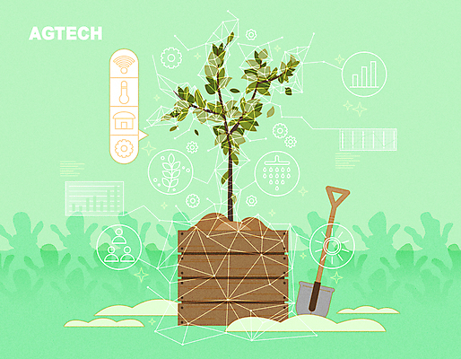 나무 식물 일러스트 사람없음 초록색 농사 흙 성장 나무상자 삽 스마트 홀로그램 스마트팜 어그테크 국내일러스트 AI파일 컬러 컨셉 농업 상자 농장 파일형식 벡터