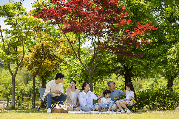 포토 JPG 주간 전신 나무 응시 공원 여자 노년 남자 행복 어린이 가족 단풍나무 손자 손녀 미소 앉기 소녀 소년 여러명 상반신 성인 야외 옆모습 30대 소풍 마주보기 한국인 자녀 가족라이프 60대 즐거움 돗자리 소풍바구니 단체사진 국내포토 자연요소 식물 라이프스타일 시선 공공시설 감정 뷰포인트 다수 단풍 관계 모션 표정 사람 동양인 장년 야외활동 바구니 손주 기념사진 파일형식