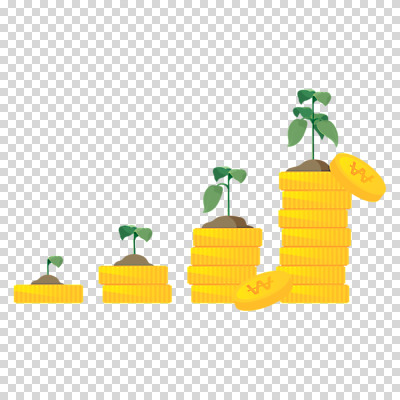 편집 편집이미지 누끼 사람없음 새싹 동전 성장 상승 금화 PNG 동전탑 편집소스 식물 컨셉 돈 쌓기 황금 파일형식
