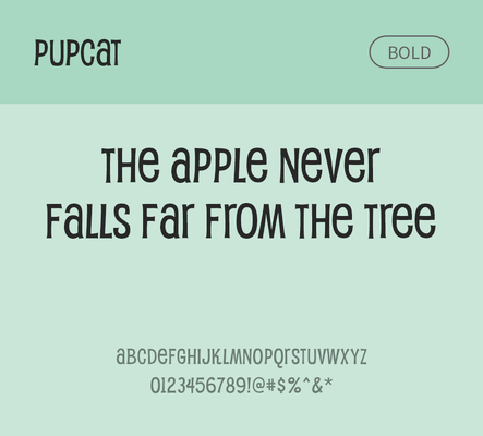 알파벳 영어 폰트 사람없음 OTF 볼드체 낱개폰트 설치폰트 디자인서체 영문폰트 Typodermic_서체 pupcat_서체 문자 파일형식