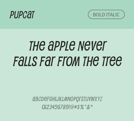 알파벳 영어 폰트 사람없음 OTF 볼드체 낱개폰트 설치폰트 디자인서체 영문폰트 Typodermic_서체 이탤릭체 pupcat_서체 문자 파일형식