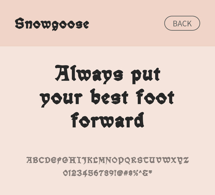 알파벳 영어 폰트 사람없음 OTF 낱개폰트 설치폰트 디자인서체 영문폰트 Typodermic_서체 snowgoose_서체 문자 파일형식