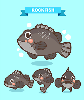 캐릭터 일러스트 사람없음 파란색 축제 물방울 어류캐릭터 우럭 지역축제 대한민국축제 일러캐릭터 AI파일 컬러 동물캐릭터 어류 파일형식 벡터