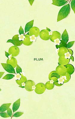 PSD 꽃 잎 일러스트 사람없음 연두색 매화 원형프레임 리스장식 매실 매실나무꽃 국내일러스트 식물 프레임 장식 초록색 원형 파일형식