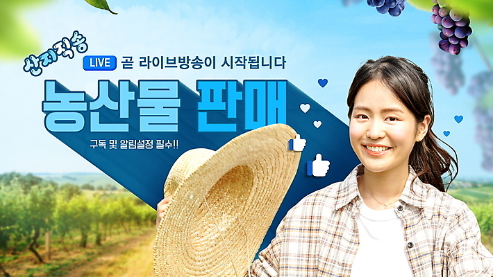 PSD 템플릿 여자 밭 포도 나뭇잎 한명 웃음 들기 상반신 20대 성인 파란색 농작물 판매 한국인 하트 밀짚모자 동영상 소통 구독 라이브 소셜네트워크 좋음 성인여자한명만 산지직송 청년농부 스트리밍 라이브커머스 유튜브 썸네일 이미지템플릿 모양 모자_잡화 1 컬러 컨셉 잎 농업 과일 모션 표정 사람 동양인 청년 농부 방송 모바일쇼핑 여자한명만 성인여자만 파일형식 직송