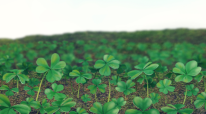 PSD 줄기 잎 일러스트 자연 풍경 사람없음 초록색 평화 흙 네잎클로버 클로버 자연백그라운드 블러효과 국내일러스트 식물 컬러 백그라운드 컨셉 생태계 블러 파일형식 효과