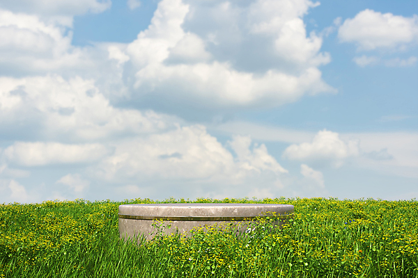 PSD 구름 편집 편집이미지 꽃 자연 하늘 풍경 잔디 초원 사람없음 3D 맑음 디지털합성 대리석 포디움 편집소스 이미지편집 편집3D 자연요소 식물 재료 날씨 무대 생태계 파일형식