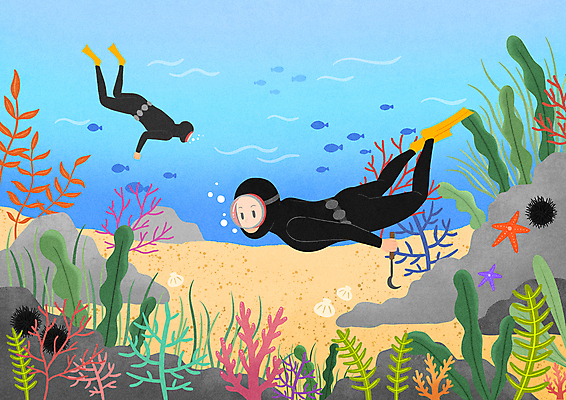 전신 PSD 여자 남자 바다 여러마리 일러스트 불가사리 어류 들기 성인 두명 제주도 바닷속 수영 돌_바위 산호 오리발 잠수 갈고리 직업체험 해녀 성게 물질 해녀도구 해녀복장 성인만 국내일러스트 직업 옷 다수 모션 극피동물 한국 사람 수중 수중동물 도구 수상스포츠 체험학습 자포동물 파일형식