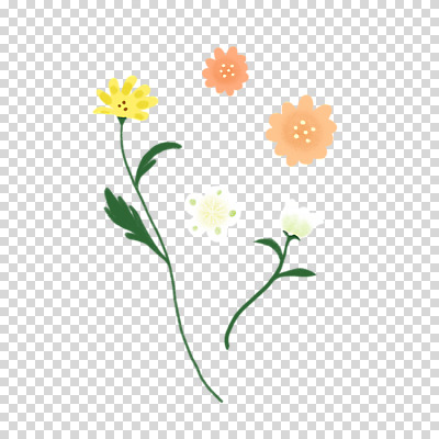 편집 편집이미지 꽃 여러송이 잎 봄꽃 누끼 사람없음 봄 PNG 잎줄기 편집소스 식물 계절 줄기 다수 파일형식