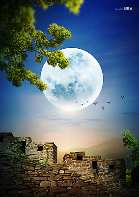 PSD 구름 편집이미지 여러마리 조류 밤하늘 나뭇잎 돌담 사람없음 파란색 보름달 달 나뭇가지 이미지편집 자연요소 나무 동물 컬러 다수 잎 하늘 담장 돌_바위 야간 파일형식