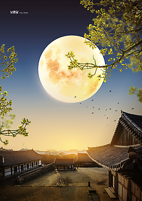 PSD 편집이미지 여러마리 조류 밤하늘 나뭇잎 기와집 풍경 사람없음 파란색 보름달 나뭇가지 이미지편집 나무 동물 컬러 다수 잎 하늘 한옥 달 야간 파일형식