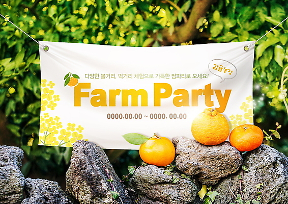 PSD 나무 편집이미지 잎 나뭇잎 귤 돌담 타이포그라피 사람없음 농장 파티 돌_바위 현수막 나뭇가지 개나리 한라봉 현무암 천혜향 이미지편집 식물 문자 꽃 농업 과일 이벤트 담장 화산암 파일형식