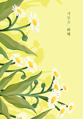 PSD 꽃잎 잎 일러스트 프레임 타이포그라피 사람없음 노란색 들꽃 꽃말 감성 화해 개망초 국내일러스트 식물 문자 꽃 감정 컬러 컨셉 파일형식