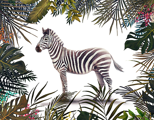 PSD 한마리 잎 일러스트 초식동물 프레임 서기 사람없음 풀 열대우림 얼룩말 열대잎 국내일러스트 식물 동물 1 모션 말_동물 숲 파일형식