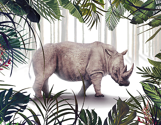 PSD 나무 한마리 잎 일러스트 초식동물 프레임 서기 사람없음 풀 숲속 숲 열대우림 코뿔소 열대잎 국내일러스트 식물 동물 1 포유류 모션 파일형식