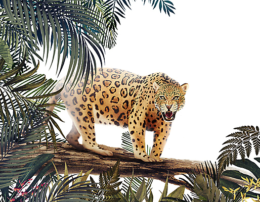 PSD 나무 한마리 잎 일러스트 프레임 서기 사람없음 풀 승차 열대우림 위협 육식동물 표범 열대잎 포효 국내일러스트 식물 동물 1 포유류 모션 외침 숲 파일형식