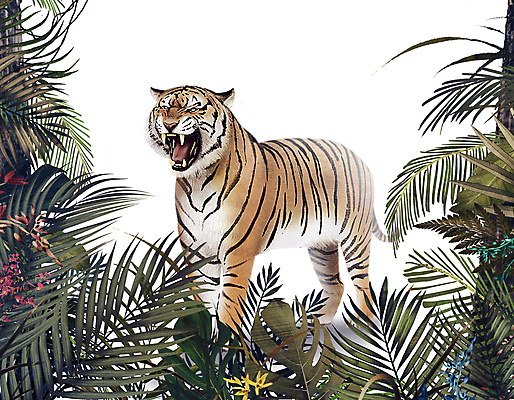 PSD 한마리 잎 일러스트 프레임 입벌림 서기 사람없음 풀 호랑이 열대우림 위협 육식동물 열대잎 포효 국내일러스트 식물 동물 1 포유류 모션 표정 외침 숲 파일형식
