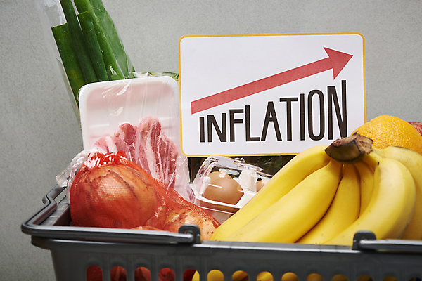 포토 JPG 스튜디오촬영 화살표 음식 회색배경 양파 바나나 실내 근접촬영 사람없음 쇼핑 장보기 계란 팻말 장바구니 오브젝트 담기 삼겹살 파 식자재 인플레이션 국내포토 뷰포인트 백그라운드 채소 과일 모션 프레임 돼지고기 내부 경제 바구니 알 회색 파일형식