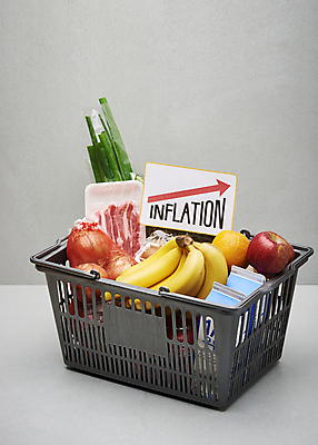 포토 JPG 스튜디오촬영 화살표 음식 오렌지 회색배경 양파 바나나 실내 사람없음 쇼핑 장보기 팻말 우유 식용유 사과 장바구니 오브젝트 담기 삼겹살 파 식자재 인플레이션 국내포토 백그라운드 채소 과일 모션 유제품 프레임 돼지고기 내부 경제 바구니 회색 기름_음식 파일형식