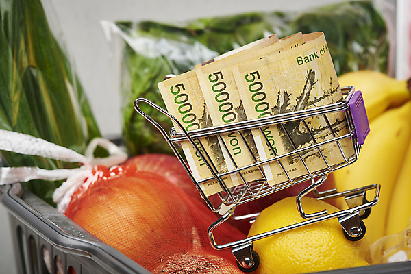 포토 뷰포인트 지폐 돈 채소 과일 모션 실내 3 내부 경제 쇼핑 바구니 모형 카트 파일형식 담기 레몬 장바구니 미니어처 세장 오만원 근접촬영 사람없음 양파 쇼핑카 JPG 스튜디오촬영 인플레이션 오브젝트 음식 식자재 국내포토