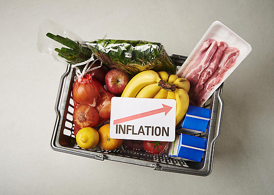 포토 JPG 스튜디오촬영 화살표 음식 오렌지 회색배경 양파 바나나 실내 사람없음 쇼핑 장보기 하이앵글 팻말 우유 사과 레몬 장바구니 오브젝트 담기 삼겹살 파 시금치 식자재 인플레이션 국내포토 뷰포인트 백그라운드 채소 과일 모션 유제품 프레임 돼지고기 내부 경제 바구니 회색 파일형식