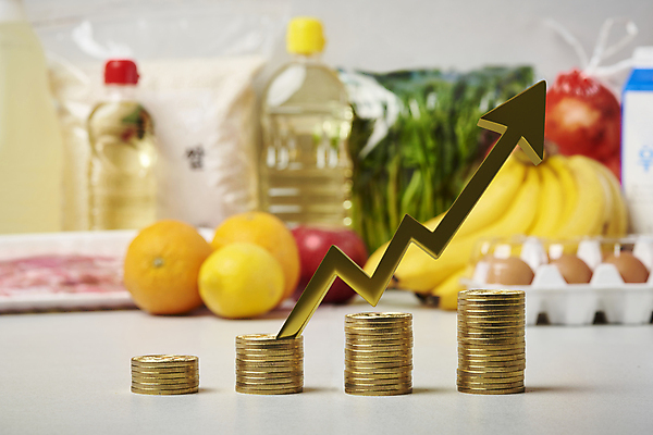포토 스튜디오촬영 PSD 화살표 오렌지 식재료 회색배경 양파 그래프 바나나 실내 사람없음 계란 동전 쌀 식용유 가격 오브젝트 삼겹살 상승 시금치 동전탑 인플레이션 국내포토 백그라운드 컨셉 돈 채소 과일 곡류 돼지고기 내부 경제 쌓기 알 회색 기름_음식 파일형식