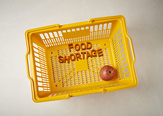 포토 스튜디오촬영 PSD 영어 회색배경 실내 사람없음 한개 사과 가난 장바구니 오브젝트 부족 인플레이션 비어있는 국내포토 문자 1 백그라운드 컨셉 과일 내부 경제 쇼핑 바구니 회색 파일형식