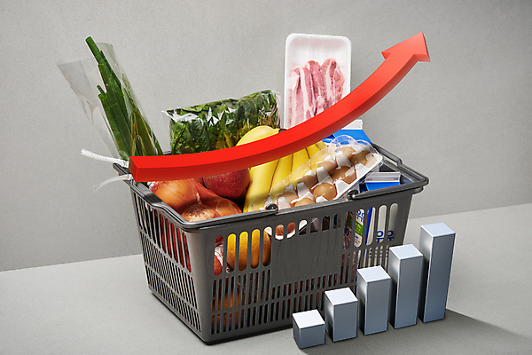 포토 스튜디오촬영 PSD 화살표 식재료 회색배경 양파 그래프 바나나 실내 그림자 사람없음 쇼핑 장보기 계란 우유 가격 장바구니 오브젝트 담기 삼겹살 상승 파 시금치 인플레이션 국내포토 백그라운드 컨셉 채소 과일 모션 유제품 돼지고기 내부 경제 바구니 알 회색 파일형식