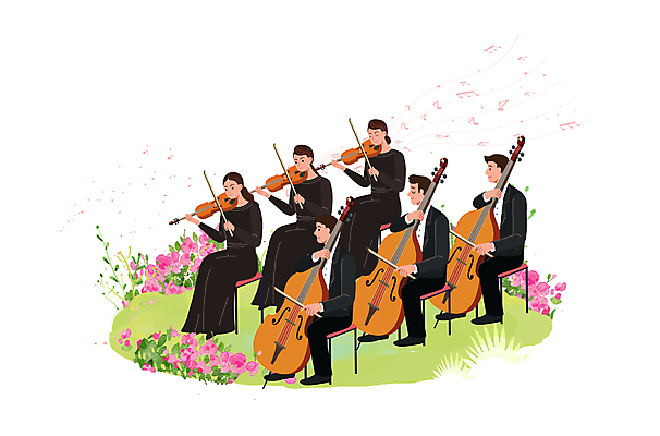 전신 PSD 여자 남자 꽃 연주 의자 일러스트 들기 앉기 잔디 여러명 성인 눈감음 공연 연주자 악단 첼로 연주회 합주 관현악단 오케스트라 비올라 성인만 국내일러스트 식물 음악 가구 다수 모션 사람 이벤트 음악가 음악회 파일형식 찰현악기