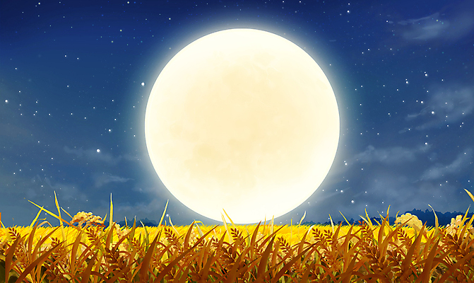 PSD 구름 별 밭 야경 일러스트 밤하늘 사람없음 추석 가을풍경 벼 보름달 가을 야간 달빛 국내일러스트 자연요소 계절 명절 농업 하늘 곡류 풍경 달 파일형식 가을_계절 풍경_경치
