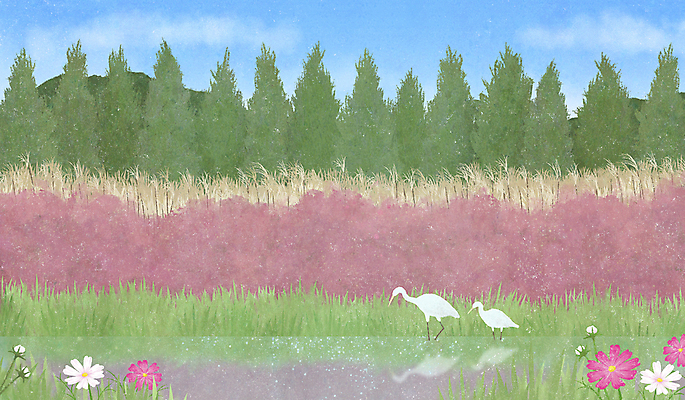 PSD 나무 두마리 일러스트 자연 하늘 가을꽃 갈대 사람없음 강 반사 가을풍경 고요 가을 코스모스 핑크뮬리 국내일러스트 식물 계절 꽃 2 풍경 생태계 파일형식 가을_계절