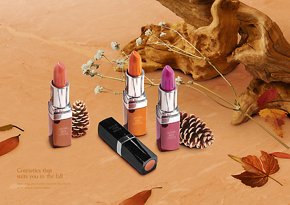 PSD 편집이미지 꽃 낙엽 사람없음 갈색 여러개 화장품 립스틱 가을 분위기 솔방울 나무조각 이미지편집 식물 계절 컬러 다수 컨셉 잎 목재 뷰티 파일형식