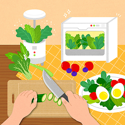 접시 손 채소 일러스트 방울토마토 오이 도마 요리 들기 신체부위 노란색 계란 샐러드 식탁보 상추 자르기 식칼 홈가드닝 홈파밍 식물재배기 국내일러스트 AI파일 식물 식기 음식 컬러 토마토 모션 주방용품 사람 농사 알 원예 파일형식 벡터