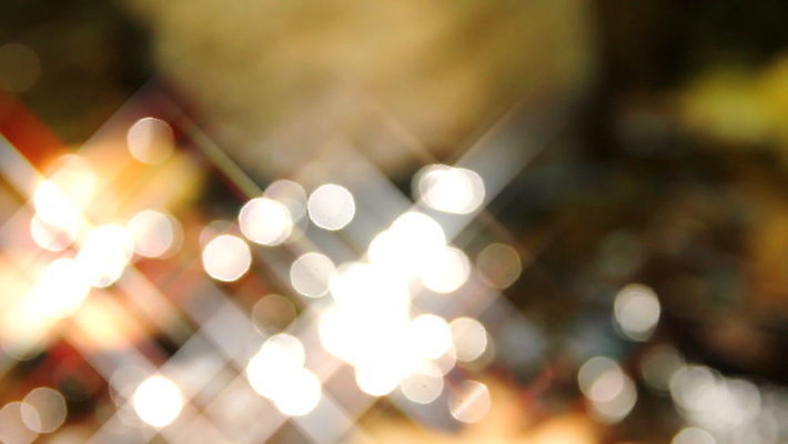 단풍 잎 자연 이끼 사람없음 야외 가로 초록색 물 빛 강 컬러풀 햇빛 태양 일몰 신선 개울 숲 열대우림 순수 동영상 패닝샷 완전 MOV 해외동영상 클립영상 자연요소 식물 컬러 컨셉 촬영기법 노을 생태계 파일형식