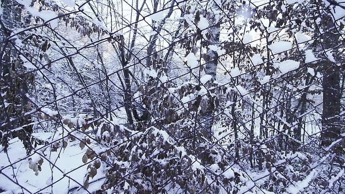 나무 도로 여행 겨울 패턴 자국 모션 자연 스키 산 건강 사람없음 야외 울타리 달리기 금속 냉동 하이킹 운전 추위 흰색 나뭇가지 신선 숲 접속 땅 속도 철사 펜싱 짜임 마케도니아 오프로드 철강 눈내림 아연 4K MP4 해외동영상 클립영상 식물 계절 길 스포츠 컬러 무늬 교통시설 재질 레저 겨울스포츠 눈_날씨 담장 생태계 동영상 영양소 파일형식 남유럽