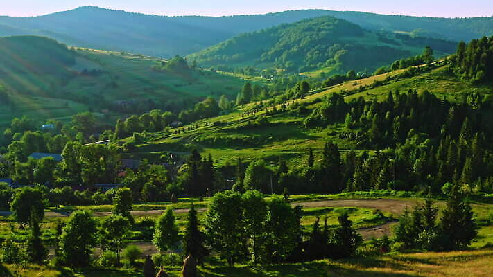 주간 나무 계절 여행 백그라운드 자연 휴가 산 안테나 스웨덴 풍경 초원 사람없음 야외 목재 초록색 여름 햇빛 태양 마을 일출 일몰 하이킹 자유 전원 시골 정상 숲 장면 내추럴 산악지대 항공촬영 드론 삼림지대 4K MOV 해외동영상 클립영상 자연요소 식물 뷰포인트 컬러 컨셉 재료 통신 레저 북유럽 노을 전기에너지 생태계 동영상 파일형식