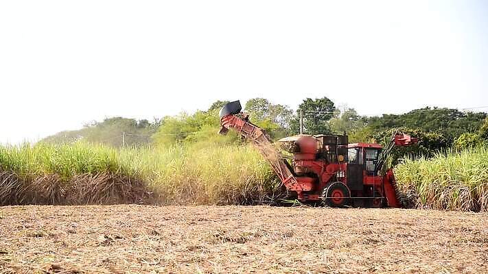 산업 포즈 밭 농업 지팡이 하늘 사람없음 초록색 농작물 농장 기계 장비 수확 시골 업무 농부 설탕 트랙터 짐차 브라질 밭일 사탕수수 MOV 해외동영상 클립영상 식물 직업 컬러 자동차 작업 남아메리카 농기계 특수차량 동영상 파일형식